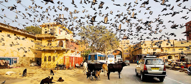 SONY WORLD PHOTO AWARDS