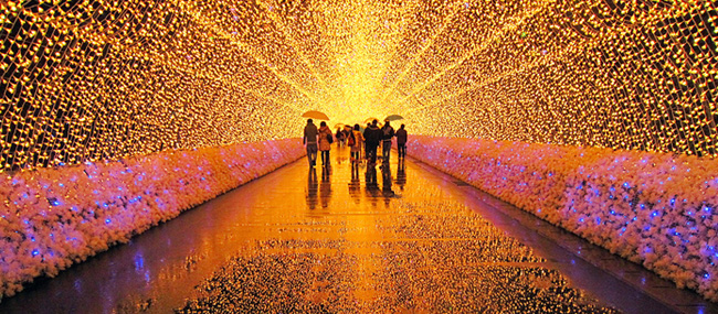 WINTER ILLUMINATIONS AT NABANA NO SATO,  JAPAN